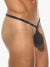 Gregg Homme Pferd string Schwarz schwarz