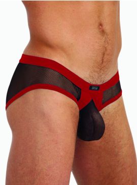 Gregg Homme X-Rated Maximizer Brief